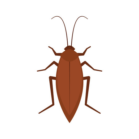 Cockroach vector. Cockroach on white background.のイラスト素材