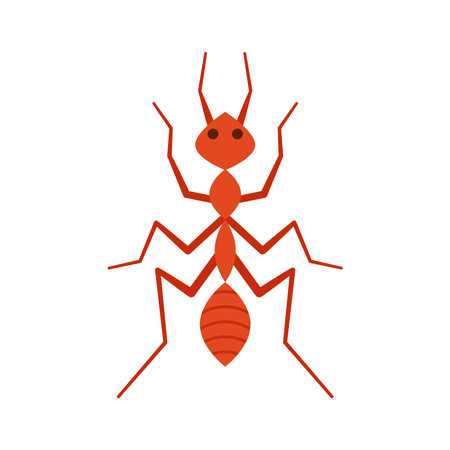 Red ant. Ant vector. Ant on white background.のイラスト素材