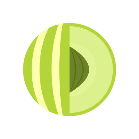 Indian gooseberry fruits or Amla (phyllanthus emblica) indain fruit vector icon illustration on white background. Indian gooseberry, amla berries and amla.のイラスト素材