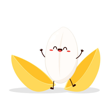Rice character design. rice vector on white background. Paddy vector.のイラスト素材