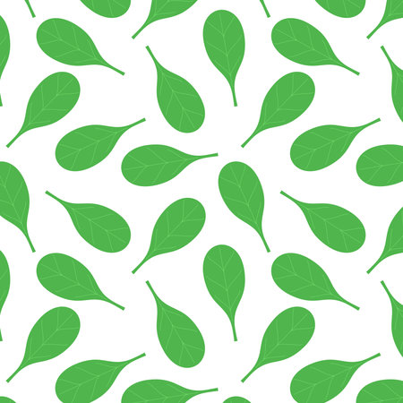 Basil vector. Basil on white background. Basil patternのイラスト素材