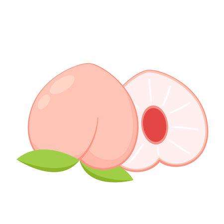 Peach cartoon vector. Doodle peach with leaves icon. Peach fruit in shape of heart isolated on white background. Farm, natural food, fresh fruits.のイラスト素材