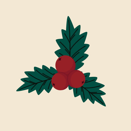 Christmas holly berry leaves isolated. Cute holly isolated on white background. Vector illustration.