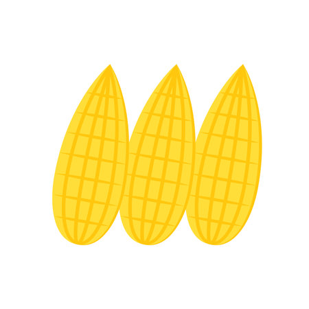 Corn on white background. Corn logo design.のイラスト素材