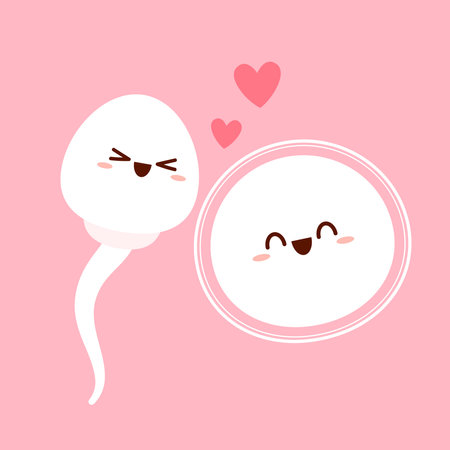 Cute happy funny sperm cell and Ovum. Vector flat line cartoon. illustration. Fertilization concept.のイラスト素材