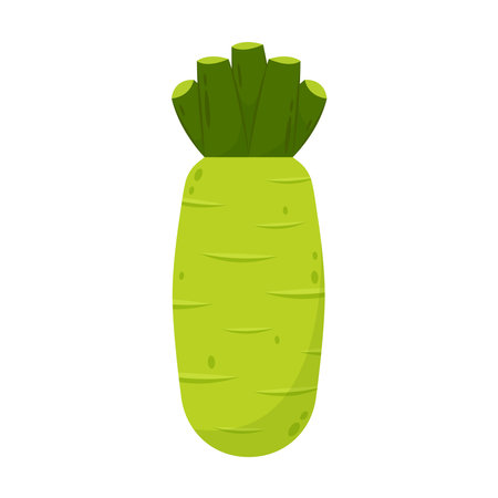 Wasabi plant root. Cartoon and flat of Wasabi plant vector icon for web design isolated on white background.のイラスト素材