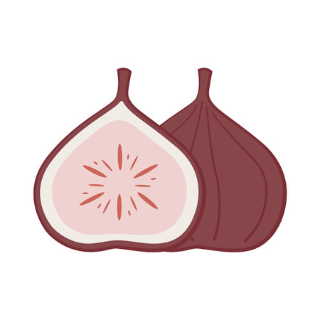 Fig logo. Isolated fig on white background. Fig cartoon vector.のイラスト素材