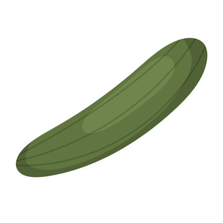 Cucumber vector illustration on white background.のイラスト素材
