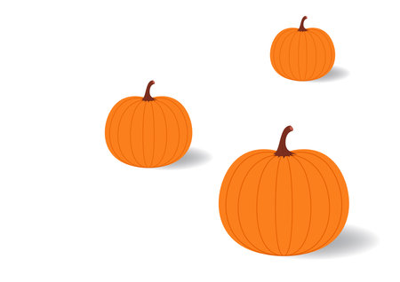 Pumpkin vector. Pumpkin on white background.のイラスト素材