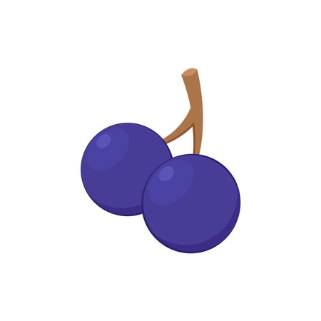 blueberry vector. blueberry on white background. symbol. logo design.のイラスト素材