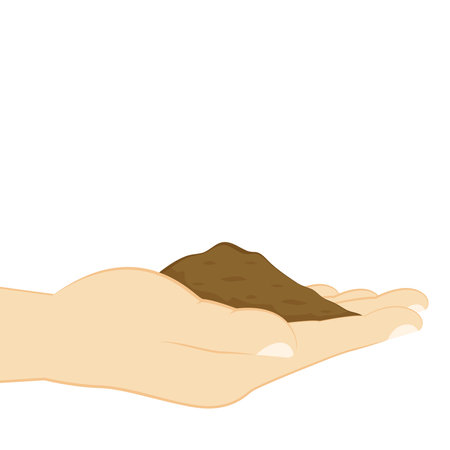 <p>Earth in hand vector on white background. Plant in hand. Vector icon.</p>のイラスト素材