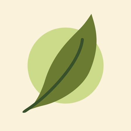 Leaf  design inspiration, Tea leaf vector isolated on cream background.のイラスト素材