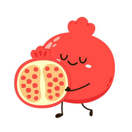 Pomegranate fruit in continuous cartoon vector style. Pomegranate contour with color. Flat isolated illustration. Pomegranate fruit mascot.のイラスト素材