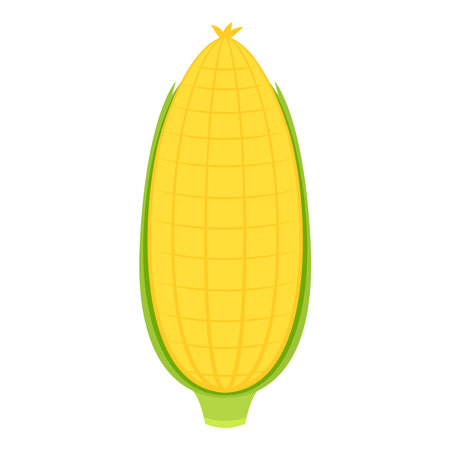 Corn on white background. Corn logo design.のイラスト素材