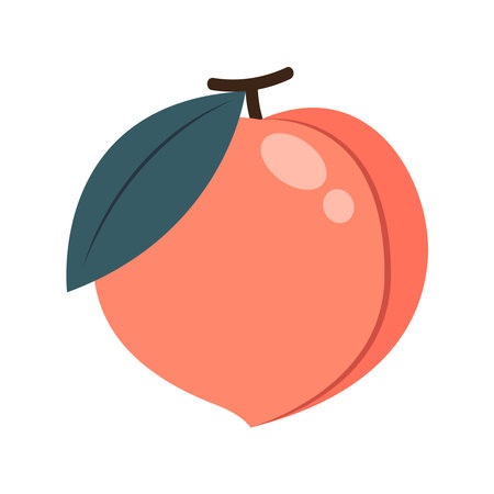 Peach cartoon vector. Doodle peach with leaves icon. Peach fruit in shape of heart isolated on white background. Farm, natural food, fresh fruits.のイラスト素材