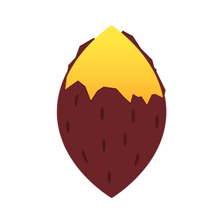 Sweet potato. Organic healthy vegetable. Fresh natural root. Made in vector cartoon flat style. Roasted sweet potato. Japanese Sweet potato.のイラスト素材