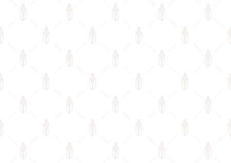 White corn pattern background. Fresh white corn isolated on white background.のイラスト素材