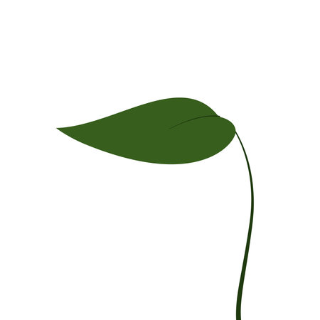 Spotted betel. Spotted betel on white background.のイラスト素材