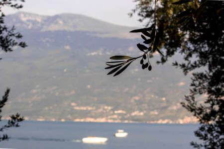 Lago di Garda ( Garda lake ) at sunset with light pink - a mountain in background. Long exposure time - little wavesの写真素材
