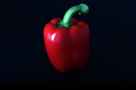 red paprika with the green sprig on a black backgroundの写真素材