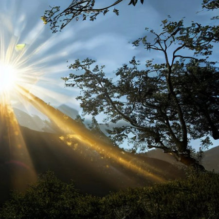 Sunlight in the morning at Mount Kinabalu, Sabah, Malaysiaの素材