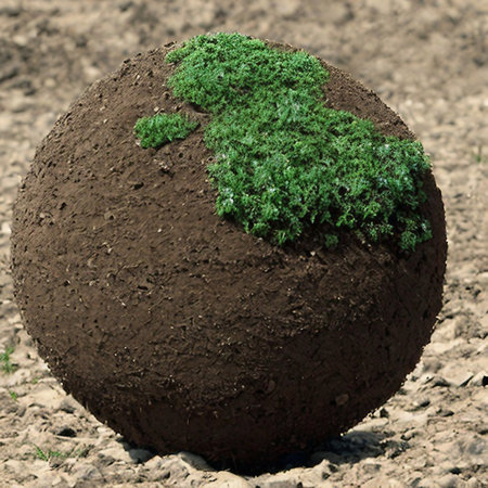 Close-up of a green plant in the soil. Conceptual image.の素材