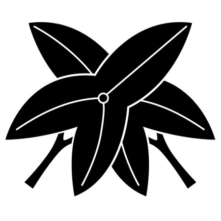 Star fruit icon. Simple illustration of star fruit vector icon for webのイラスト素材