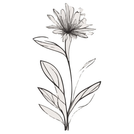 Hand drawn vector illustration of a black and white flower isolated on white background.の素材