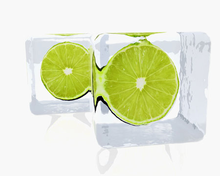 Lemon slices in icecubeの写真素材