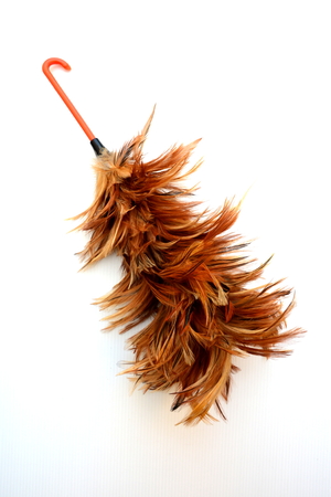Feather dusterの写真素材