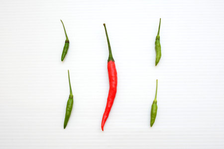 Green Chilli and red Chilli of different sizes
