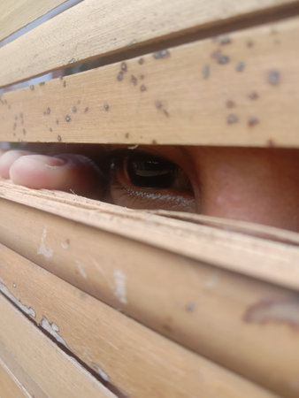 Close-up of woman's eye peeking through wooden blindsの写真素材