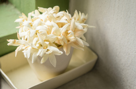 Thai White Flower in Ceramic Jar in vintage toneの写真素材