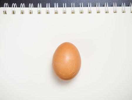 Egg on a White Blank Binding Book.