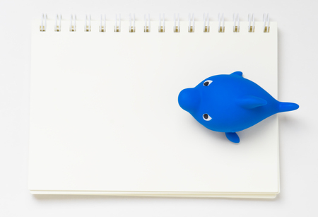 Blank page for Education on marine life.の写真素材