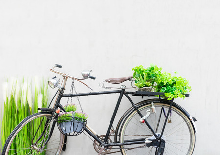 Bicycle with Green plant on gray backgroundの写真素材