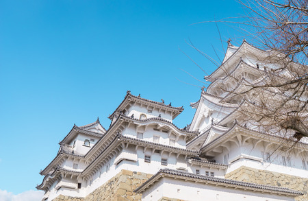 Himeji Castle behind treeのeditorial素材