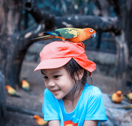 Asian girl with a colorful parrot on her headの写真素材