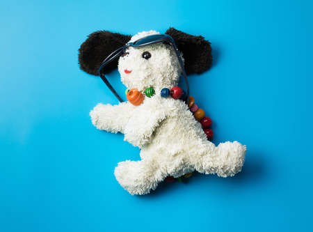Dog Doll dressed up very tendy with sunglasses and necklaceの写真素材