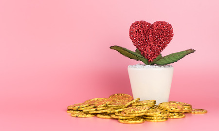 Gold money makes love flower grows concept with copy spaceの写真素材