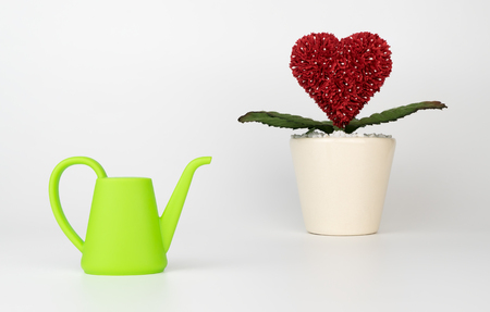 Heart flower with watering toy plot for love growth conceptの写真素材