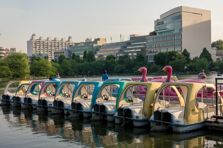 Pedal Boat are docking in lake sideの写真素材