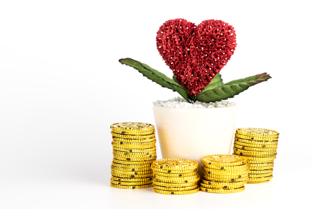 Saving Money for Love and Marriage concept isolatedの写真素材