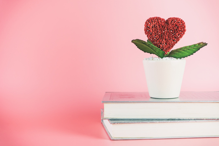 Love heart flower on books with pink copy spaceの写真素材