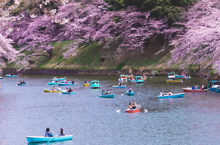 Tokyo; Japan - March 28; 2019: People are riding the Paddle boat in Chidorigafuchi Canal for viewing Cherry Blossom.のeditorial素材