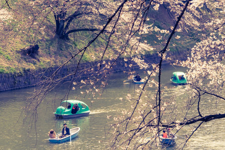 Tokyo; Japan - March 28; 2019: People are riding the Paddle boat in Chidorigafuchi Canal for viewing Cherry Blossom.のeditorial素材