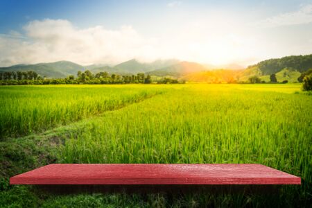 Red wooden shelf on paddy farm nature background for product displayの写真素材