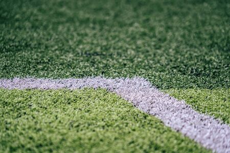 Soccer Football field white line for backgroundの写真素材