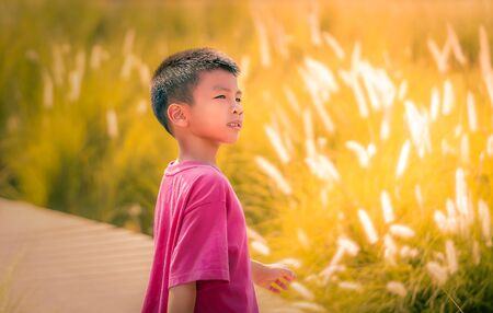 Asian boy is walking in a golden field for nature summmer freedom and happiness conceptの写真素材