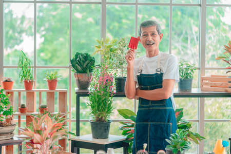 Happy Senior retired man wearing apron standing in greenhouse garden with gardening tool in his hand.の写真素材